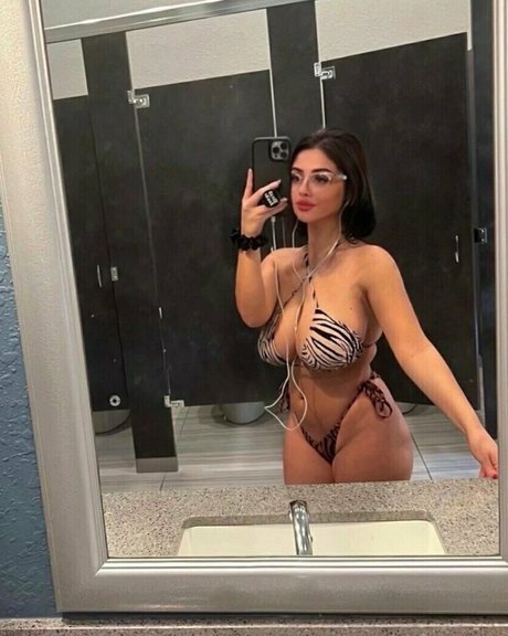 Evelynluxe