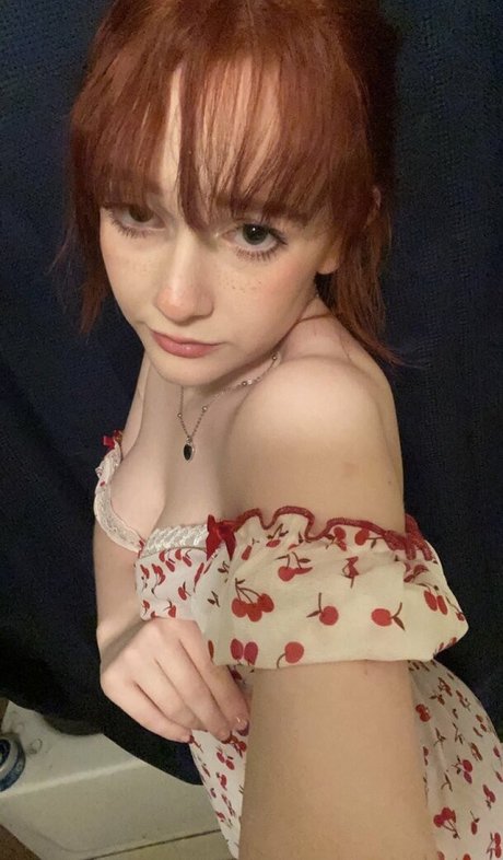 Shelbypng
