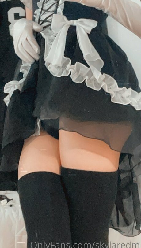 Skylaredm