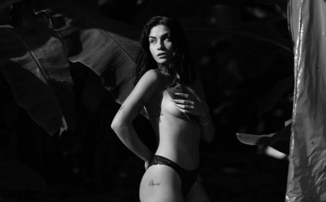 Adi Tal
