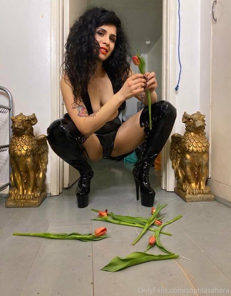 Foto desnuda filtrada de OnlyFans de Mistresssophiasahara