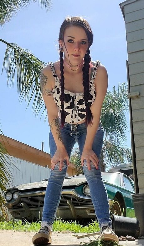 Lilydarkofree