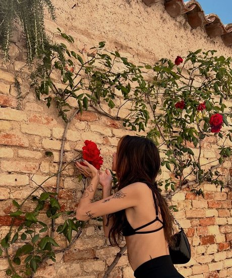 Gabbygonxo