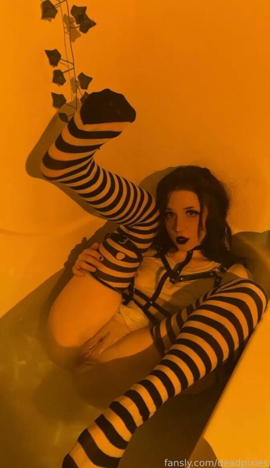 Foto desnuda filtrada de OnlyFans de Deadpixies #19 Foto desnuda filtrada de OnlyFans de Deadpixies #19