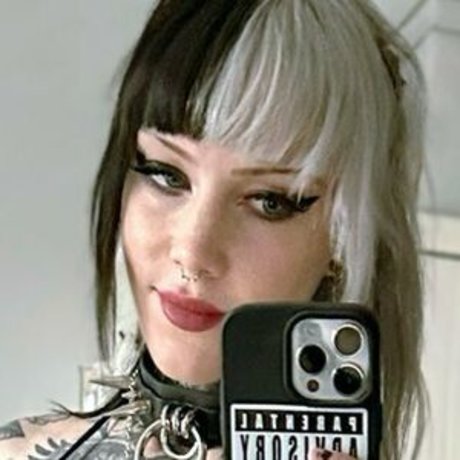 Bexicutes