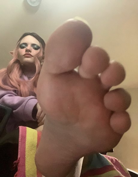 Thecutestkittycat