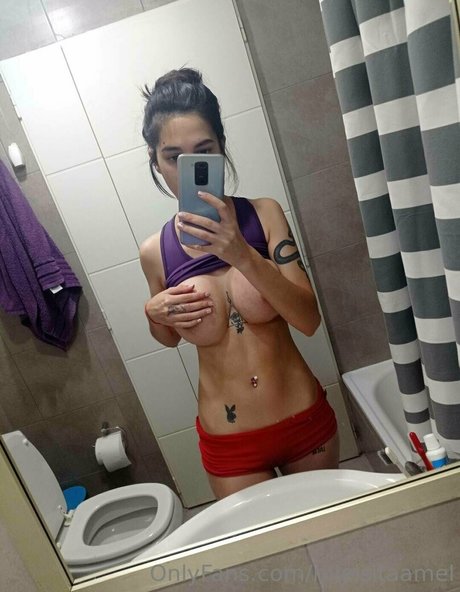 Mielsitaamel