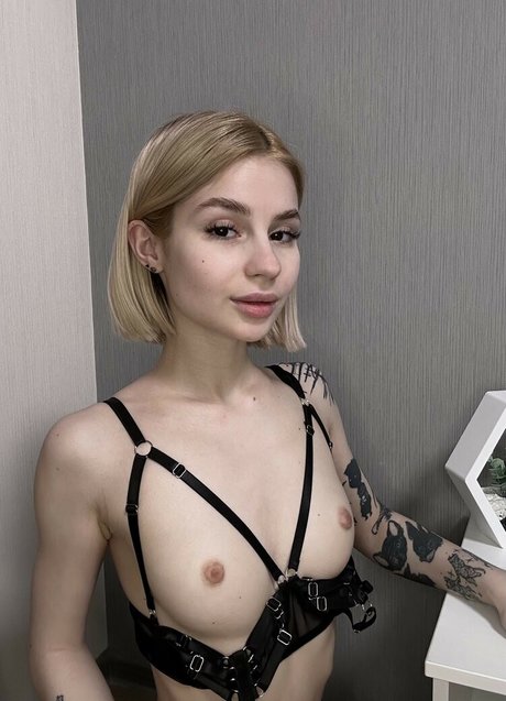 Slykorina