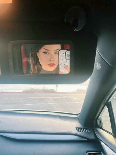 Heylaurensummer