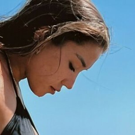 Stephylicea
