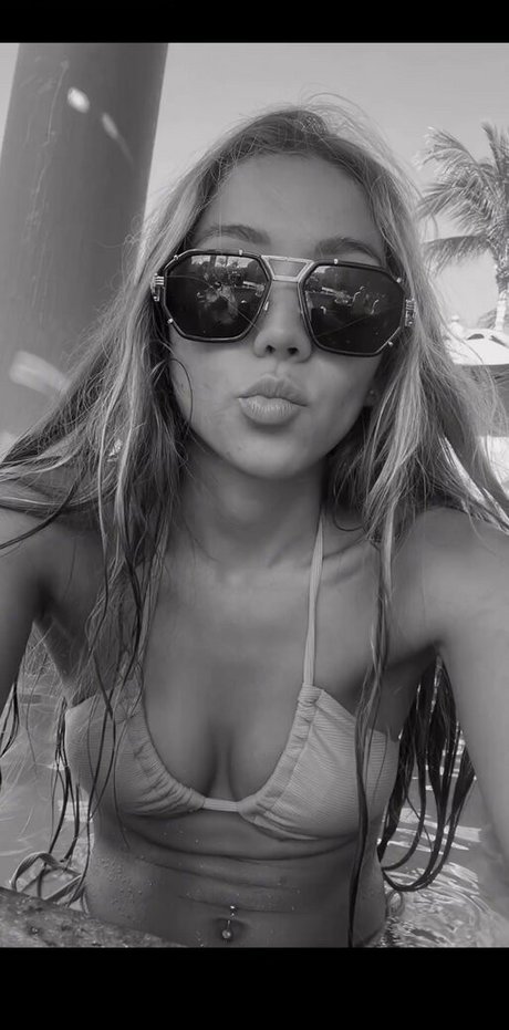 Stephylicea