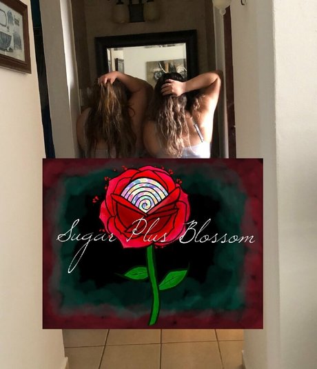 Lolliandrose