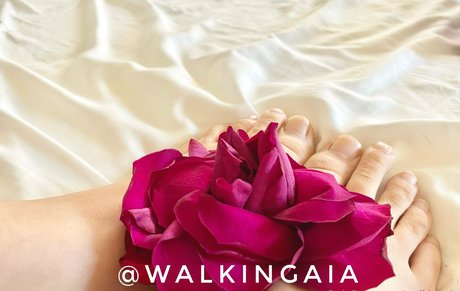 Walkingaia