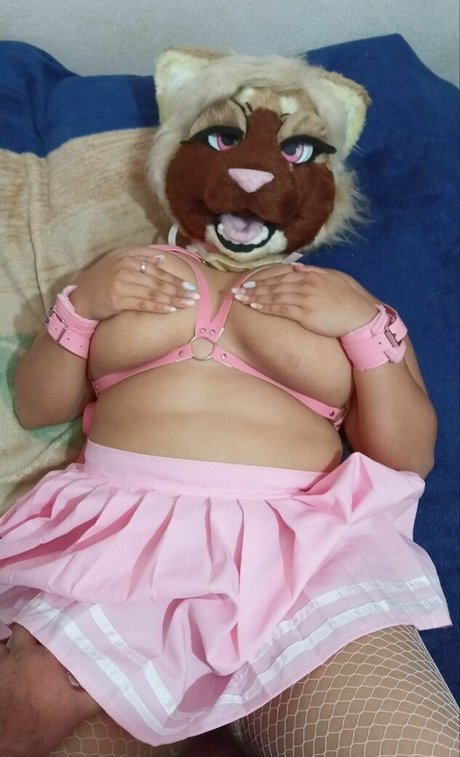 Softskitten