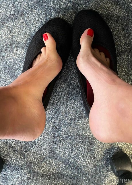 Hazelhigharches