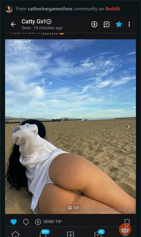 Foto desnuda filtrada de OnlyFans de Catherine Gamez