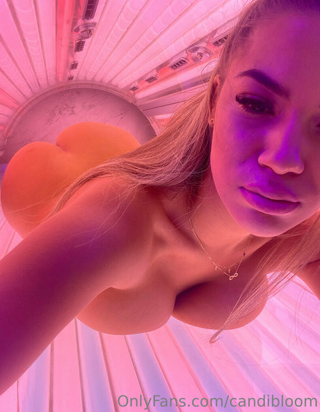 Sugarrrk