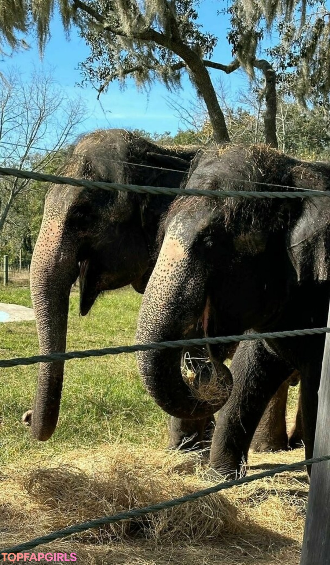 Foto desnuda filtrada de OnlyFans de Brandilovefreee #69 Foto desnuda filtrada de OnlyFans de Brandilovefreee #69