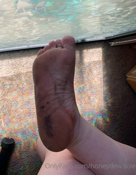 Honeydewsole