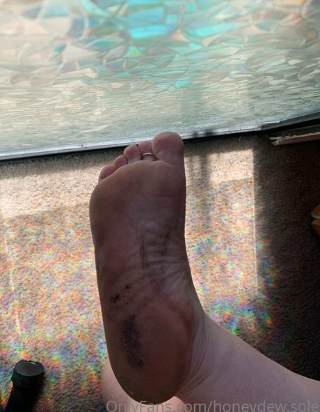 Honeydewsole