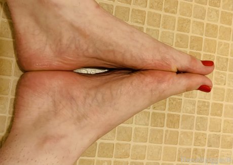 Theselilpiggie6