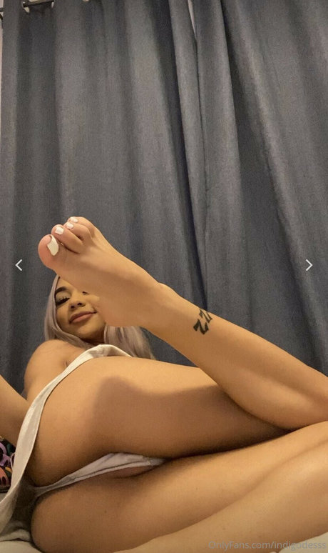 Indigodess