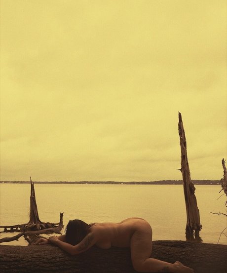 Christian Stout