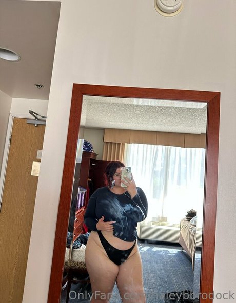 Haleybbrodock