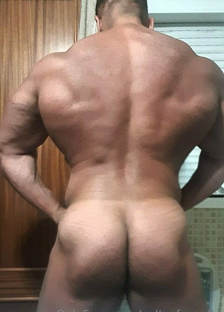 Cultofapollo