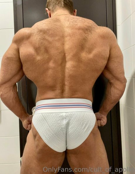 Cultofapollo