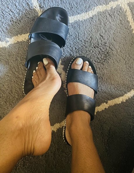 Veefeet