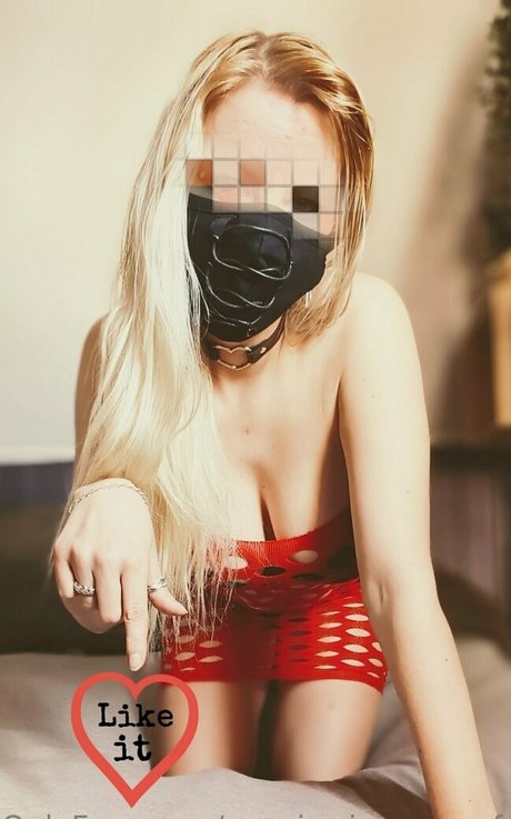 Nysgjerrigemegfree