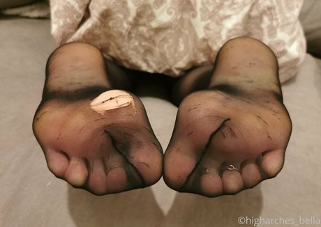 Higharchesbella
