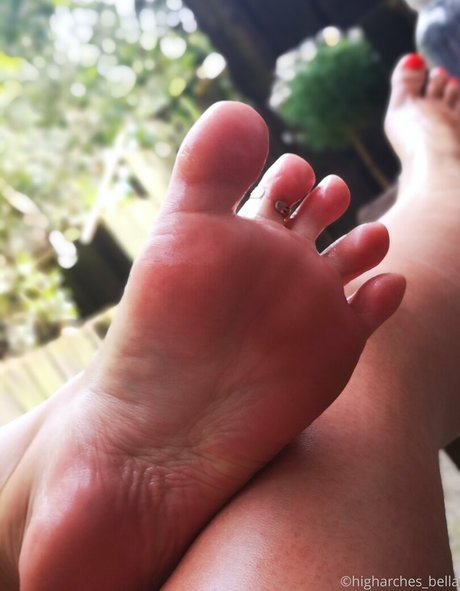 Higharchesbella