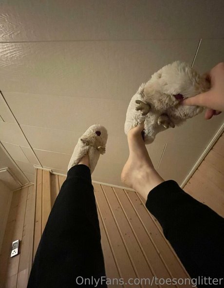 Toesonglitter