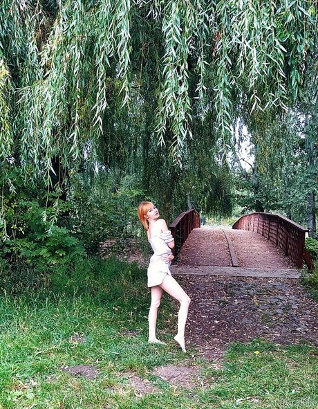 Naturallilie