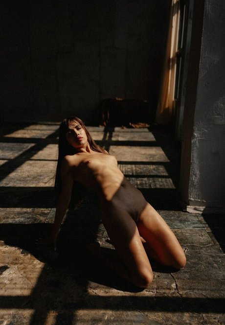 Nemmy Horin