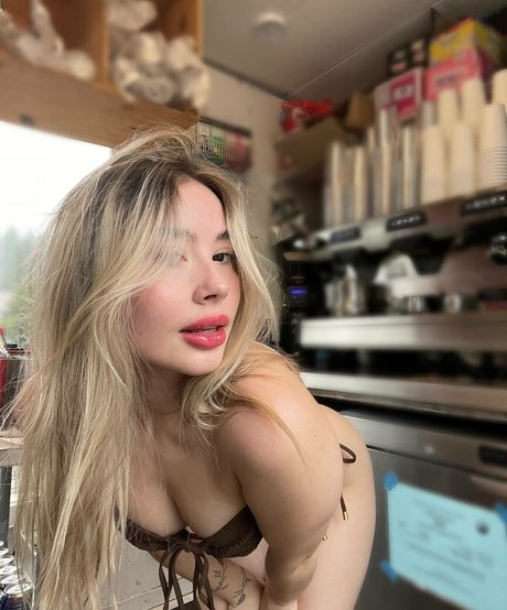 Baristades