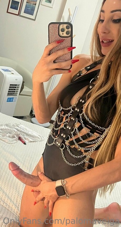 Palomaveiga