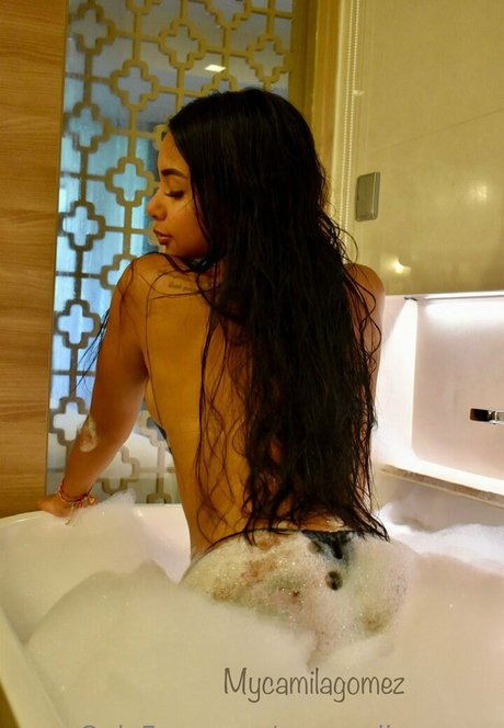 Mycamilamodel