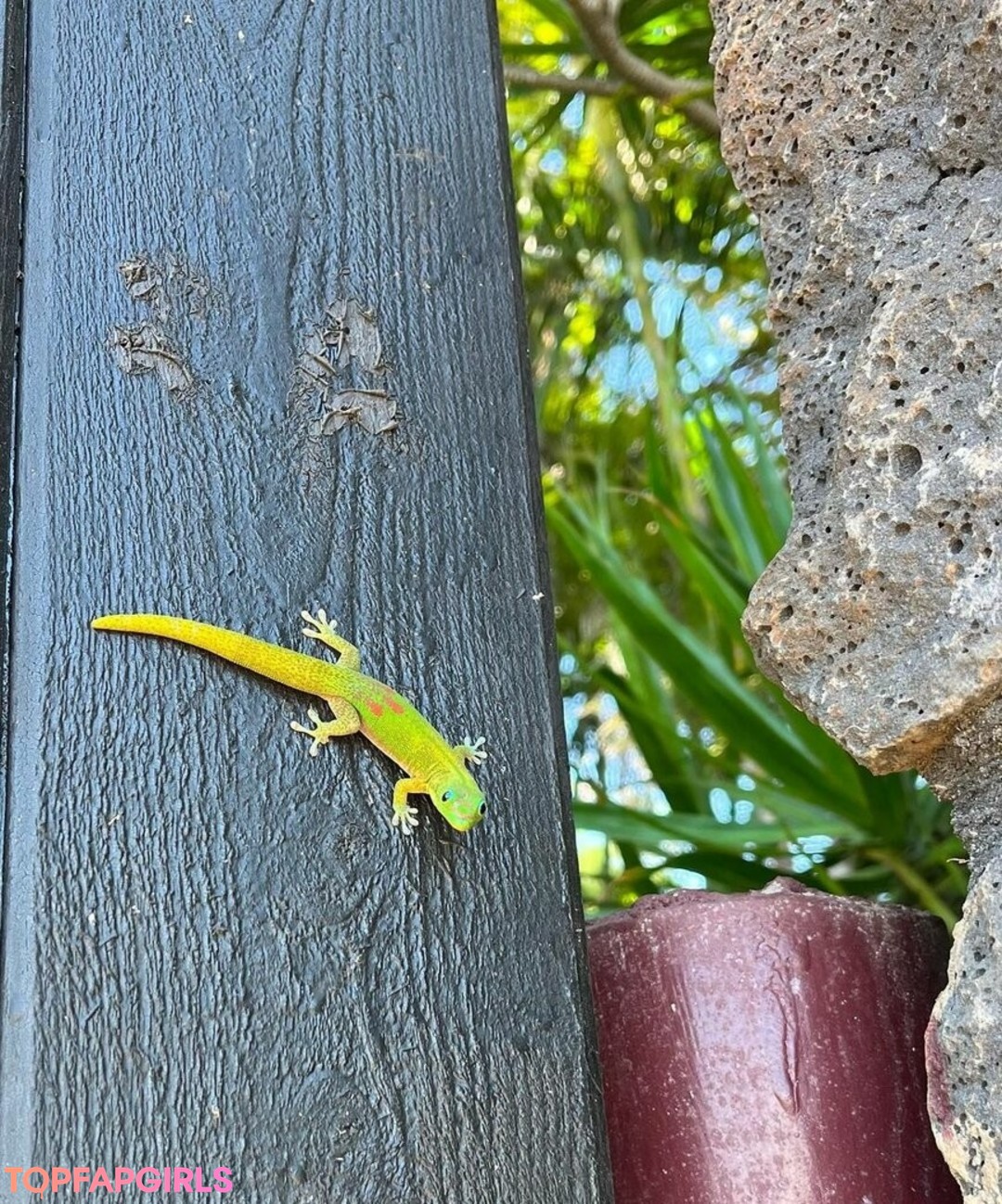 Foto desnuda filtrada de OnlyFans de Anika Grace #44 Foto desnuda filtrada de OnlyFans de Anika Grace #44