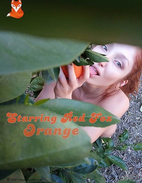Foto desnuda filtrada de OnlyFans de Red Fox