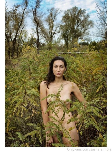 Sasha_simple