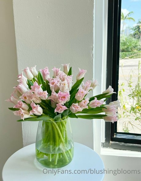 Blushingblooms