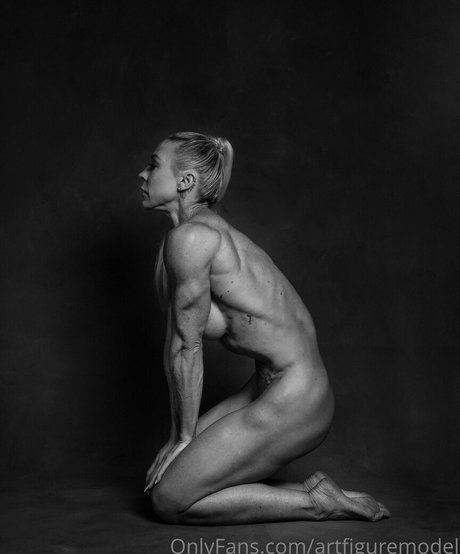 Artfiguremodel