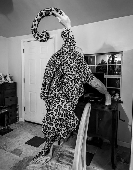 Katcalico