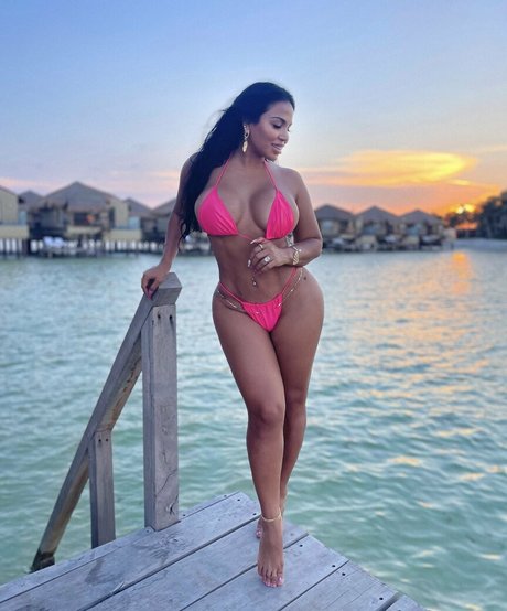 Dollycastro