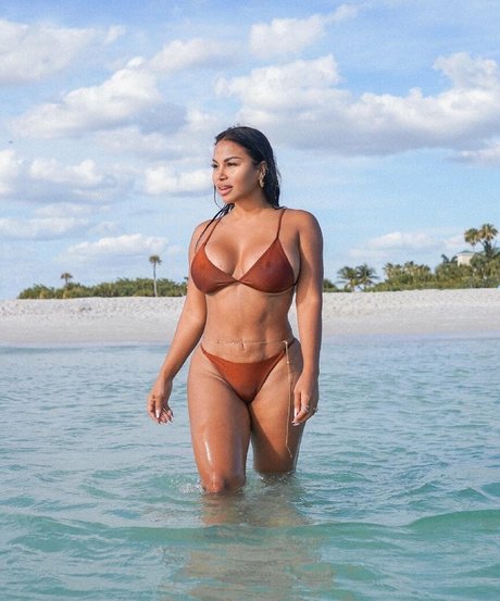 Dollycastro