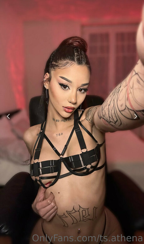 Arryadoll