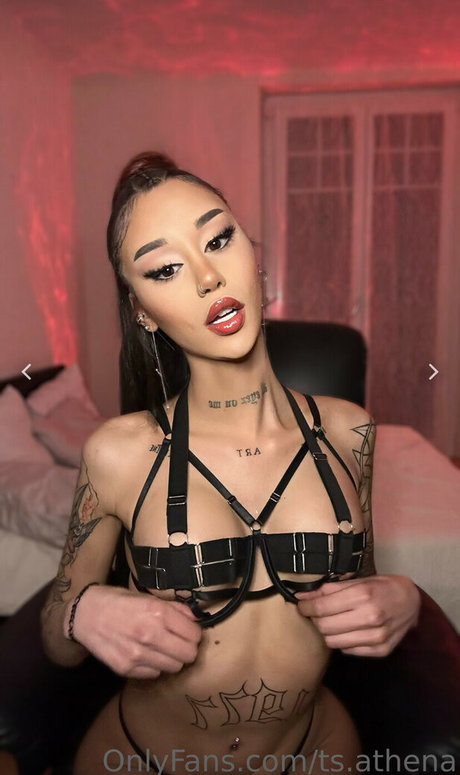 Arryadoll